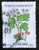 Türkiye Cumhuriyeti - Turkije - C11/20 - (°)used - 2001 - Michel 3276 - Heilzame Planten - Gebraucht