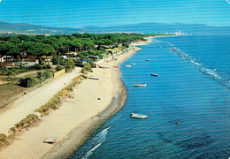 VIGNALE RIOTORTO : Camping Torre Mozza - Livorno