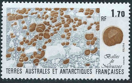 TAAF, TERRES AUSTRALES ANTARTIQUES FRANçAISES Fleur, Fleurs, Flower, Flor, Yvert N° 156 ** MNH - Andere & Zonder Classificatie