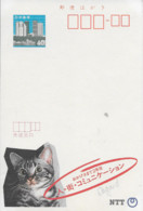 Le Chat - Entier JAPON - Echocard Japonnaise - NTT - Emission Régionale 1986 - Affranchie 40, Vendue 35 - - Briefe U. Dokumente