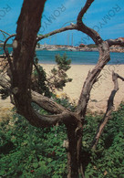 CARTOLINA  PORTO CERVO,SASSARI,SARDEGNA,COSTA SMERALDA,VACANZA,MARE,ESTATE,BARCHE A VELA,BELLA ITALIA,VIAGGIATA 1975 - Sassari