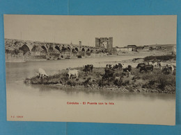 Cordoba El Puente Con La Isla - Córdoba