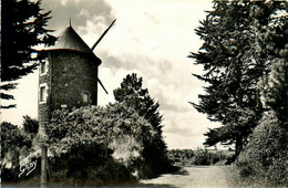 St Quay Portrieux * Le Moulin à Vent * Molen - Saint-Quay-Portrieux