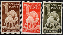 1951 Día Del Sello Ed 91-93 / Sc B16-18 / YT 79-81 / Mi 122-4 Nuovo / MNH / Neuf / Postfrisch [sm] - Sahara Español