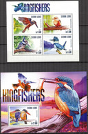 Sierra Leone 2015 Birds Kingfishers Sheet + S/S MNH - Sierra Leone (1961-...)