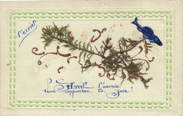 CPA 1er Avril - Herbier Style Algue Et Ajoutis Poisson - Cadre En Relief - April Fool's Day