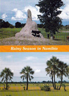 1 AK Namibia * Rainy Season In Namibia - Der Lang Erwartete Sommerregen Läßt Das Land Ergrünen * - Namibia