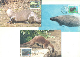 Brazil 2008 Complete Series With 3 Maximum Card Endangered Amazonian Animal Fauna Mammal Otter Ariranha Manatee - Other