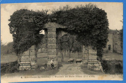 53 -  Mayenne - Lassay Les Chateaux - Environs De Lassay - Ruines De Bois Frou (N9656) - Lassay Les Chateaux