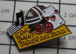 2217 Pin's Pins / Beau Et Rare / THEME : SPORTS / PETANQUE SAINT DIDIER DES BOIS MUSIQUE CARTE A JOUER - Pétanque
