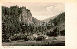 Der Falkenstein Im Dietharzer Grund - 2405 - Old Postcard - Germany - Unused - Tambach-Dietharz