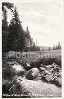 Partie An Der Oberen Weisseritz Bei Schellerhau I Erzgeb - Old Postcard - Germany - Unused - Schellerhau