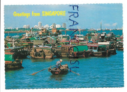 Jonques Au Large De Singapour - Pêche
