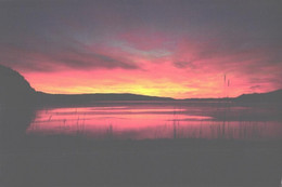 Canada:Newfoundland, Sunrise At Ivany's Cove - Otros & Sin Clasificación