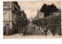 Cpa(14)--cabourg L'avenue De La Mer . - Cabourg