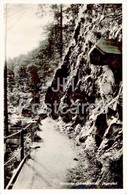 Hollental - Schwarzwald - Jagerpfad - Old Postcard - Germany - Unused - Höllental