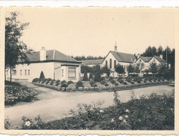 SIJSELE   SANATORIUM ELISABETH   HOEKJE VAN HET PARK     2 SCANS - Damme