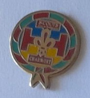 Pin's  SCOUTS  CHAUMONT  ( 52 ) - Associations