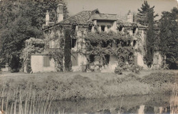 CPA Photo D'une Maison Avec La Façade Envahie Par La Végétation - Lieu Non Identifié - Fotografia