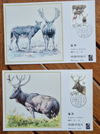 CHINE Cerfs, Mammiferes, Yvert N° 2917/18  Carte Maximums ,FDC,  1 Er Jour - Other & Unclassified