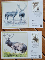 CHINE Cerfs, Mammiferes, Yvert N° 2917/18  Carte Maximums ,FDC,  1 Er Jour - Sonstige & Ohne Zuordnung