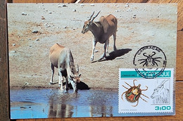 MOZAMBIQUE Insectes Tiques,  Yvert N° 734 FDC,  Carte Maximum  1 Er Jour - Sonstige & Ohne Zuordnung