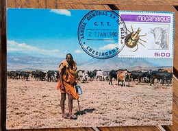 MOZAMBIQUE Insectes Tiques,  Yvert N° 735 FDC,  Carte Maximum  1 Er Jour - Vaches