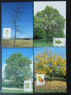 Carte Maximum Card (x4) Arbres Trees Bienfaisance Luxembourg 1997 - Tarjetas Máxima