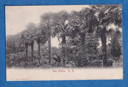 CPA Vers 1910 - SAN PEDRO - Costa Rica - H. N. Rudd - P. San José / Montes De Oca - Arbre Palmier - Costa Rica