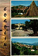 Cogolin Souvenir 1977    CPM Ou CPSM - Cogolin