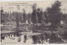 Forêt De PAIMPONT  Etang De La Chèvre - Paimpont