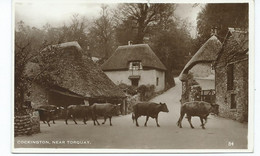 Devon Postcard Cockington  Near Torquay Rp Excel Series Postedv 1937 Starburst Small Tear  Cattle - Torquay