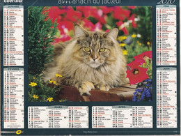 Almanach Du Facteur, Calendrier De La Poste, 2010 Côte D'Or, Chat Ragdoll, Chat Maine Coon - Grand Format : 2001-...