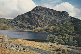 Postcard Llyn Cwm Bychan Near Llanbedr Merionethshire [ Dixon ] My Ref B25558 - Merionethshire