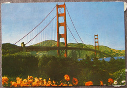 USA UNITED STATES SAN FRANCISCO GOLDEN BRIDGE CARD KARTE ANSICHTSKARTE CARTOLINA POSTCARD PC CP AK CARTE POSTALE - Lake George