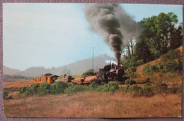 USA UNITED STATES TUOLUMME HEISLER TRAIN LOCOMOTIVE CARD KARTE ANSICHTSKARTE CARTOLINA POSTCARD PC CP AK CARTE POSTALE - Lake George