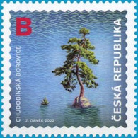 Czech Republic - 2022 - Nature Protection - Chudobín (Scots) Pine - Pinus Sylvestris - Mint Stamp - Ungebraucht