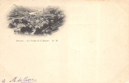 Dinant - 1901 - Vallée De La Meuse - Dinant