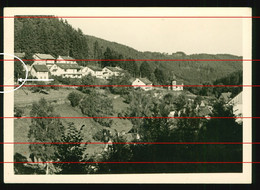 Orig. Foto 1962, Ortspartie Bad Teinach Schwarzwald, Private Häuser, Eigenheim, Villa - Bad Teinach