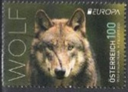 Wolf Europa Cept 2021 - 2021-... Usados