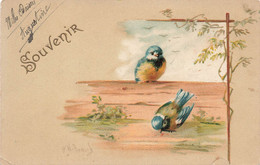 CPA Illustration D'oiseaux - Souvenir - Oblitéré à Lugny En 1904 - Oiseaux