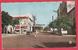 ALGERIE---SAIDA---L'Avenue Foch---cpsm Pf----colorisée - Saida