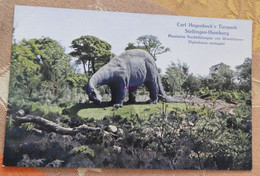 Lot De 3 Cartes Du Carl Hagenbeck's Tierpark : Dinosaures (iguanodon, Triceratops Et Diplodocus) : 115, 116, 402 - Stellingen