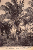 Bénin - La Récolte Des Noix De Palme - Ed. E. C. Haag 41 - Benín