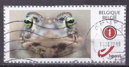 Belgien My Stamp Frosch O/used (A2-49) - Autres & Non Classés
