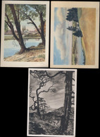 Germany, Lot Of 3 Unused Postcards, 50's, Nature, Illustrated, A Hofer, Sach, Schweiz A24 - Pirna