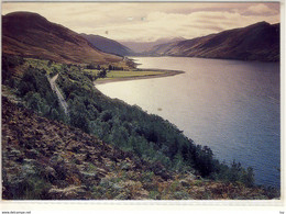 LOCH BROOM WESTER ROSS LOOKING DOWN LOCH BROOM TOWARDS BRAEMORE FOREST USED - Ross & Cromarty