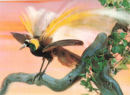 CP Holographique - Paradise Bird - Oiseau Du Paradis - Très Coloré - Autres & Non Classés