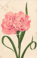 CPA Fleur - Souvenir Carte écrite à Elbeuf En 1916 - Flowers