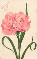 CPA Fleur - Souvenir Carte écrite à Elbeuf En 1916 - Fiori